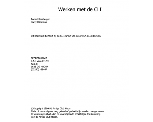 Amiga cursus – werken met CLI